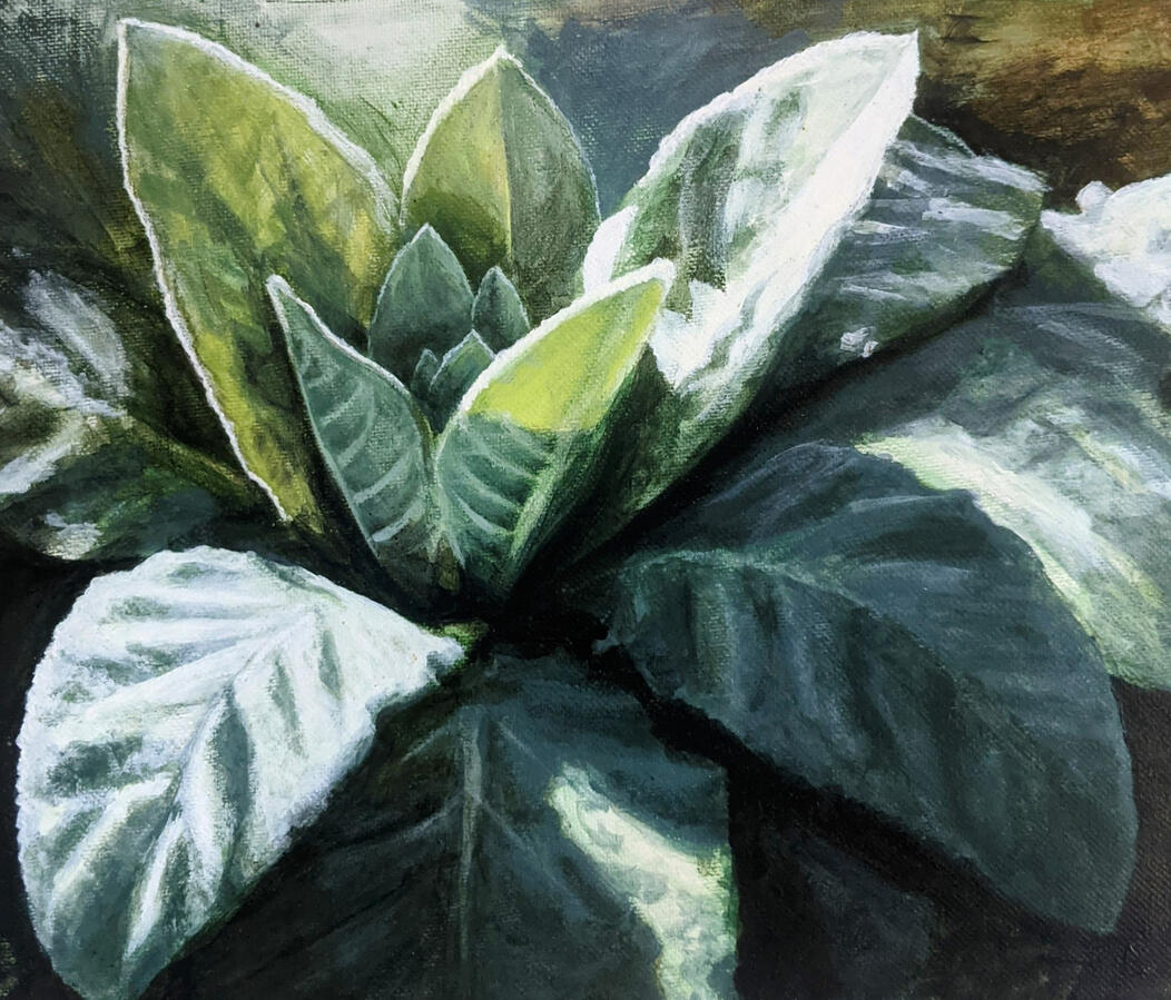 Letting The Light In, oil on canvas, 12 x 12 in, prints available