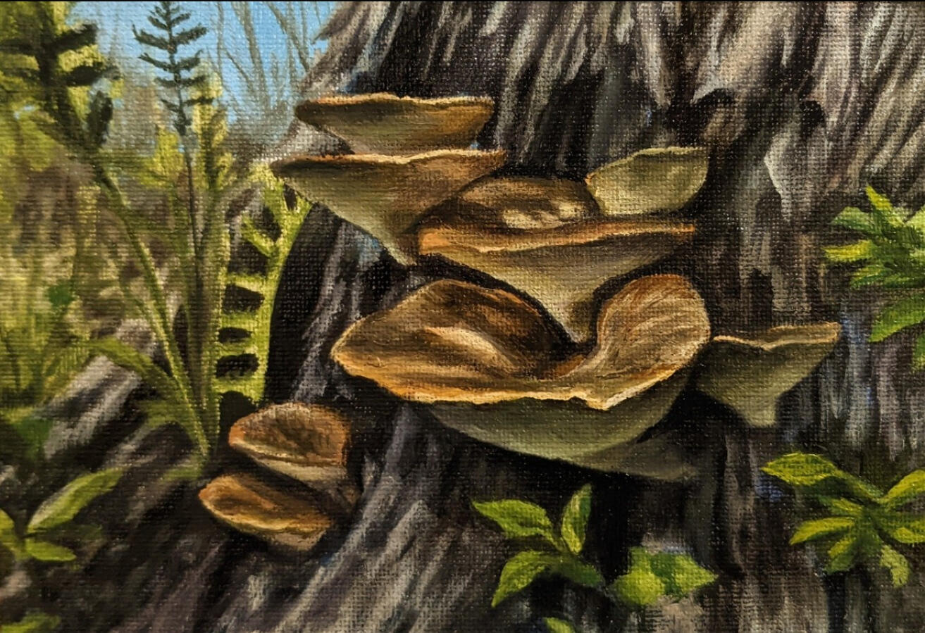 Pheasant Backs, oil on canvas panel, 5 x 7 in, available